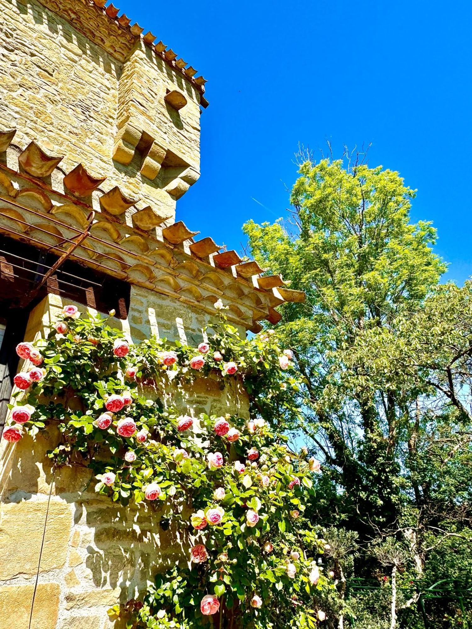 Chateau De Tournou Castelreng Kültér fotó